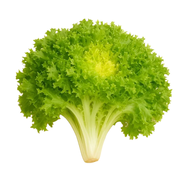 Verdura orgánica de huerto.bio, fresca y saludable, ideal para una alimentación natural y ecológica.