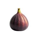 Fichi de vino orgánico en la huerta ecológica, cultivo sostenible y sin pesticidas, ideal para una alimentación saludable y respetuosa con el medio ambiente.