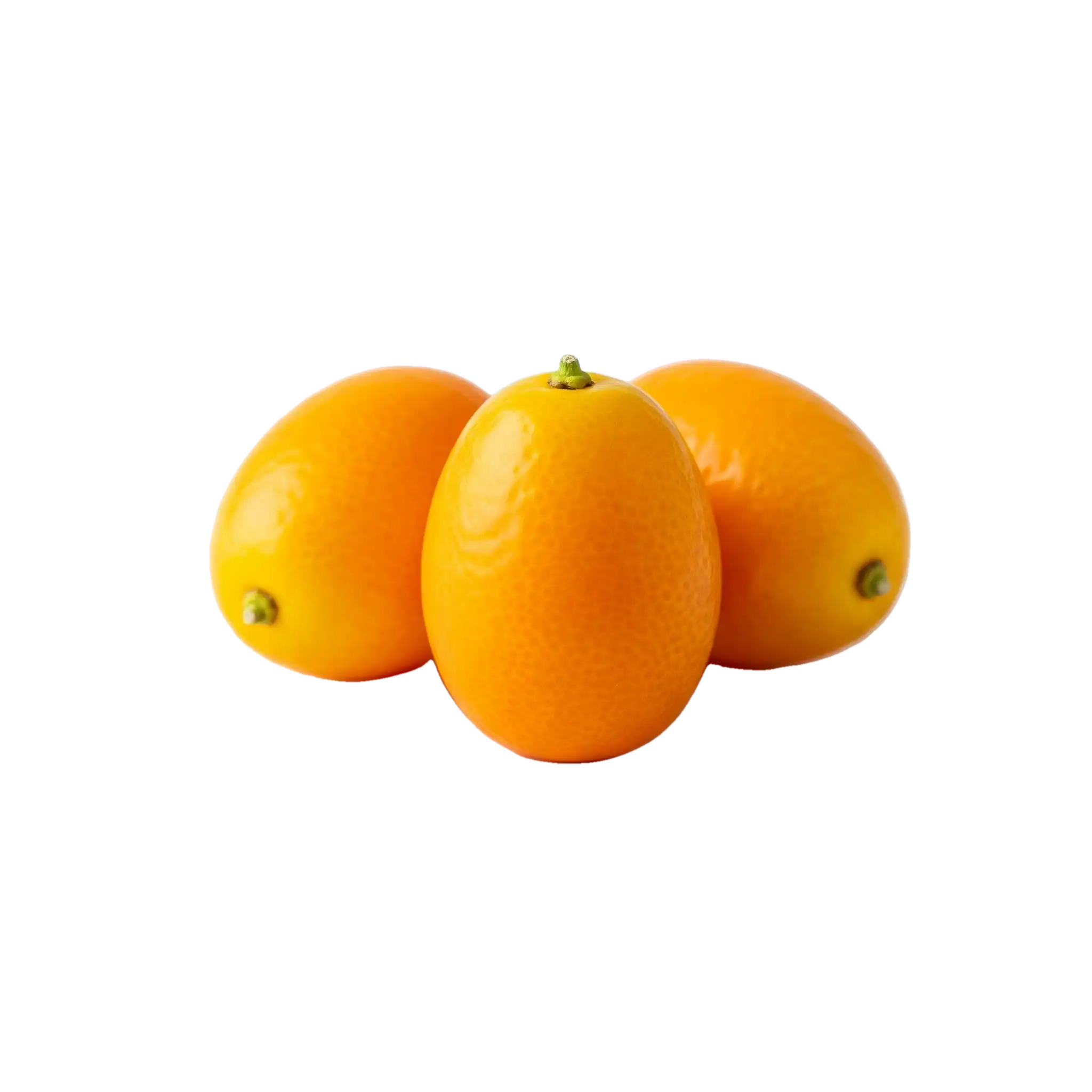 Kumquat