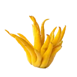 Piel de fruta amarilla de mango fresca y jugosa, cortada en tiras largas y delgadas. Ideal para preparar jugos, postres o disfrutar como snack saludable. Rico en vitaminas y sabor tropical.