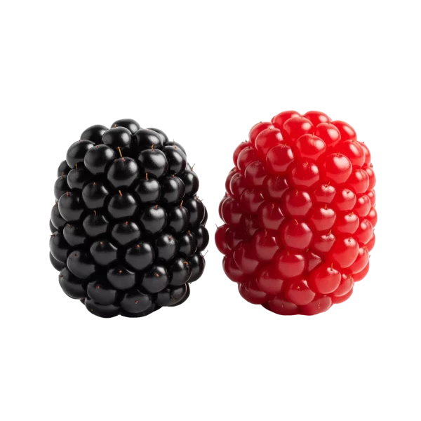 Júcuras de mora negra y frambuesa roja, frutas orgánicas y frescas, ideales para una alimentación saludable en huerto.bio.