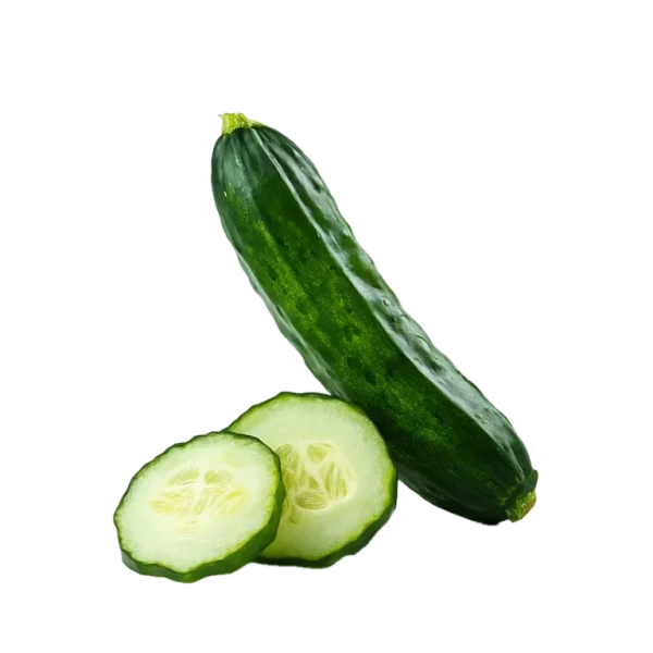 Rodaja de pepino fresco y entero, producto ecológico de huerto.bio, ideal para ensaladas y dietas saludables. Germinados y verduras orgánicas para una alimentación natural.