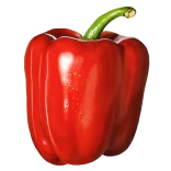 Rojo pimiento dulce en un huerto ecológico de Huerto.Bio.