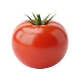 Tomate orgánico fresco en huerto bio, cultivado sin pesticidas ni herbicidas, ideal para una alimentación saludable y ecológica.