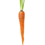 Ninguna imagen proporcionada.