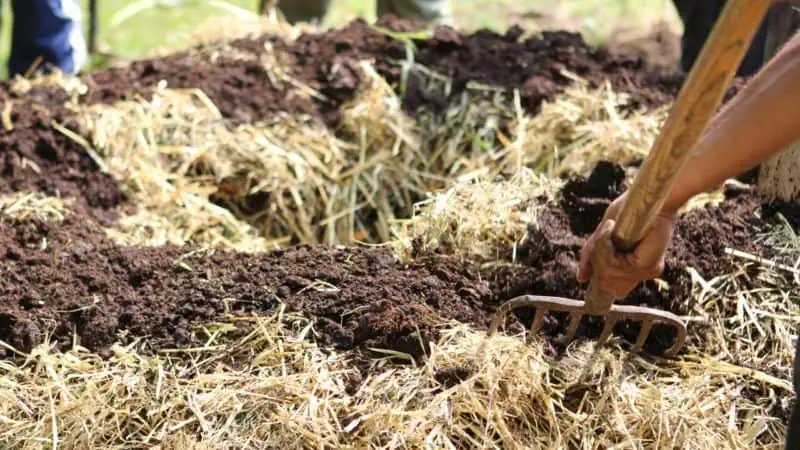 Suelo agrícola orgánico preparado para cultivo en huerto ecológico. Técnicas de compostaje y rotación de cultivos sostenibles en un huerto bio.