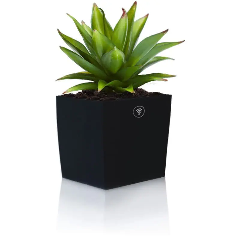 Una planta que carga el móvil y da wifi | Bioo Pass