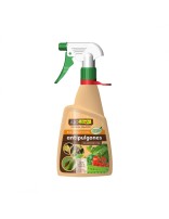 Insecticida ecológico para plantas, control de pulgones y plagas en huertos y jardines, referencia a productos orgánicos y ecológicos en huerto.bio.