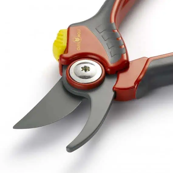 FILENAME: tu-jardin-ferramienta-corte-huerto-bio.jpg.