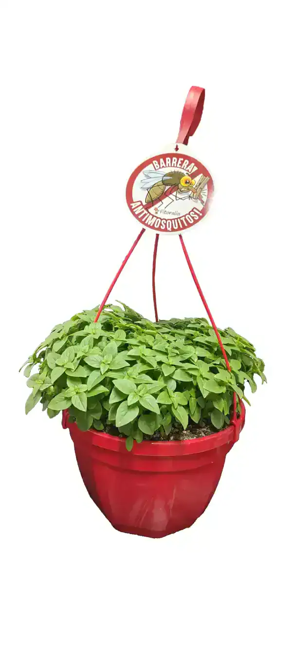 Llavero antimosquitos con planta de albahaca en maceta roja, ideal para repeler mosquitos y disfrutar del verano sin molestias.