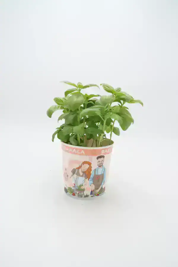 Hierba aromática albahaca en maceta decorativa con ilustraciones de agricultores, ideal para cultivo casero y cocina saludable, en el contexto de huerto ecológico y agricultura sostenible.