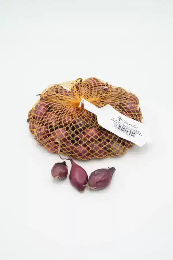 Cebollas rojas ecológicas de huerto bio en malla, saludables y frescas, ideal para cocinar platos tradicionales y ensaladas, cultivadas de forma sostenible y orgánica.