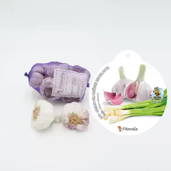 Ajo y cebollas orgánicas en malla y etiquetado de producción ecológica de Huerto.Bio, ideales para cultivar en huertos orgánicos y promover alimentación saludable y sostenible.