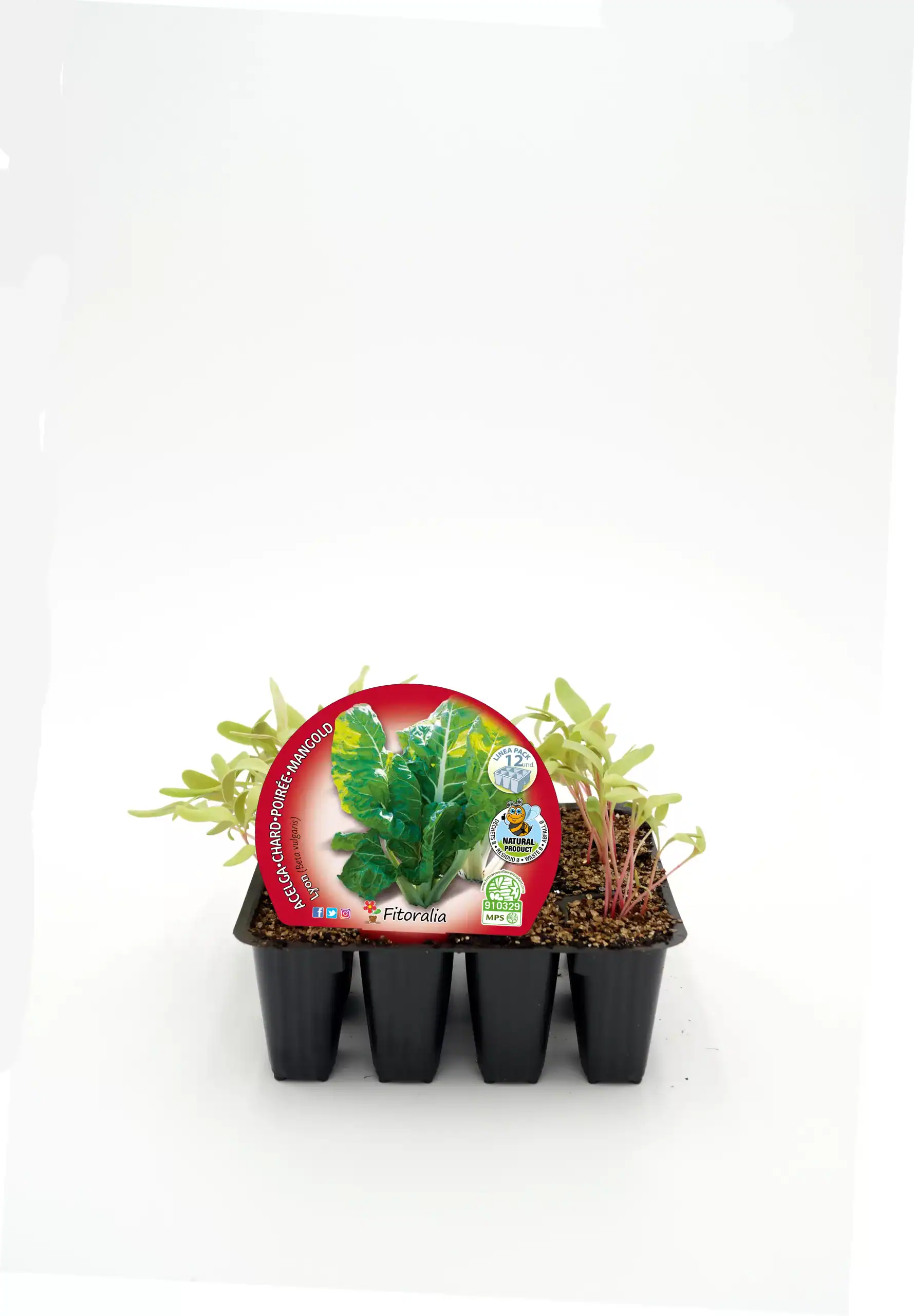 Aguacate agrio en maceta de cultivo orgánico con etiqueta de Huerto.Bio, ideal para huertos urbanos y sostenibles.