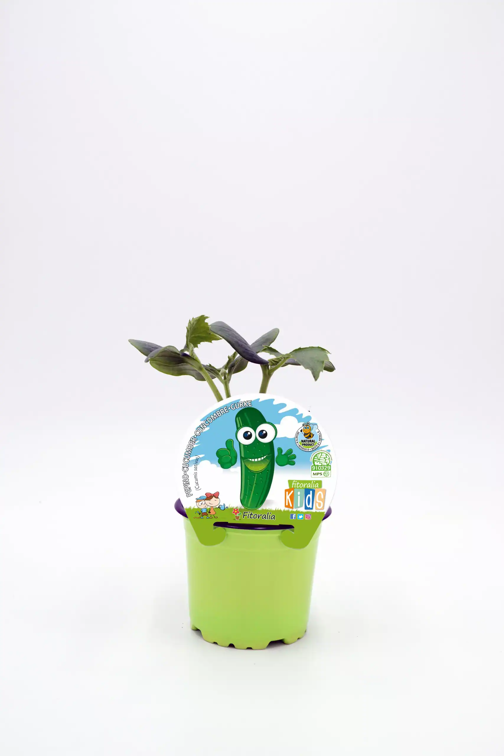 Cactu con etiqueta infantil en maceta verde, cultivo ecológico, ideal para niños, huerto bio, semillas de cactus, planta para niños, cultivo fácil, decoración natural, huerto sostenible, planta saludable para niños.