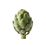 Artischoke fresca y saludable, ideal para una alimentación natural y ecológica, cultivada de forma orgánica en huertos sostenibles en España.