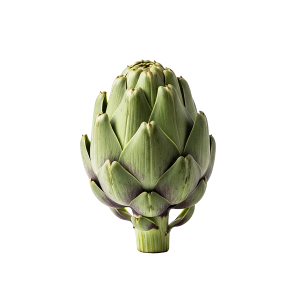 Artischoke fresca y saludable, ideal para una alimentación natural y ecológica, cultivada de forma orgánica en huertos sostenibles en España.