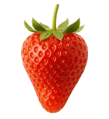 Ffilename: fresa-orgánica-huerto.bio.jpg.