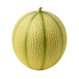 Melón cantalupo fresco y maduro con piel de malla amarilla y verde en fondo blanco, ideal para una dieta saludable y natural, cultivado en huertos ecológicos.