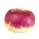 Nabo fresco y saludable, cultivado de forma ecológica en huerto.bio, ideal para ensaladas y recetas saludables.