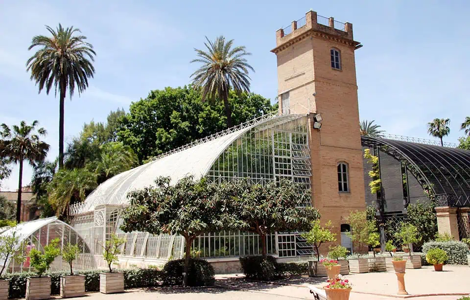 El Jardín Botánico Más Antiguo de España: Valencia Gana a Madrid