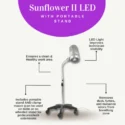 Sunflower with Stand Package – Includes a 1-Year Supply of Filters-2