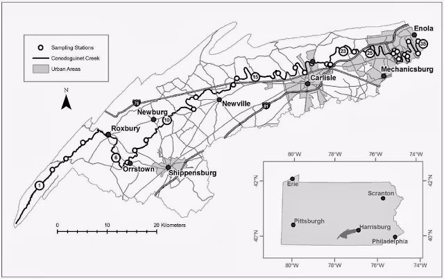 Conodoguinet Creek sampling
