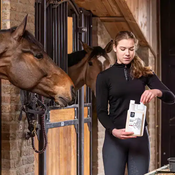 Balanstri <br/>Horse Move
