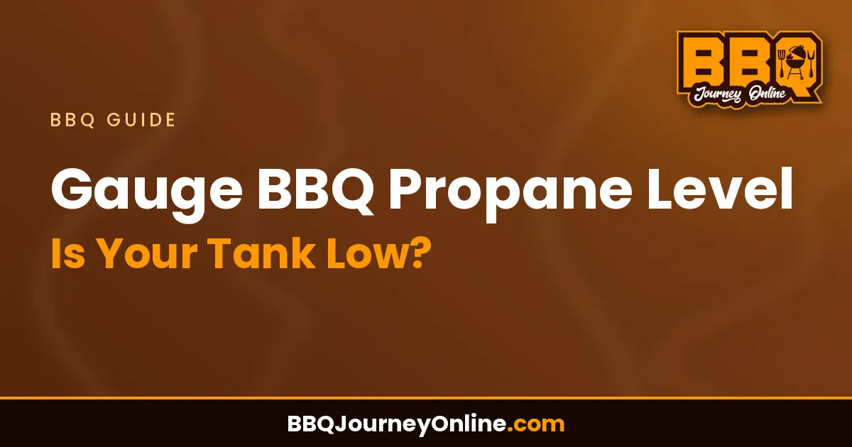 Read more about the article Gauge BBQ Propane Level: Is Your Tank Low?