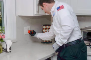 A trusted, background-checked Bell Brothers technician tests a kitchen outlet, ensuring safe upgrades with upfront pricing and no surprises.