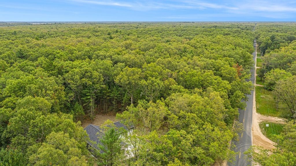 Aerial view of a lush green forest with a small house and a road.