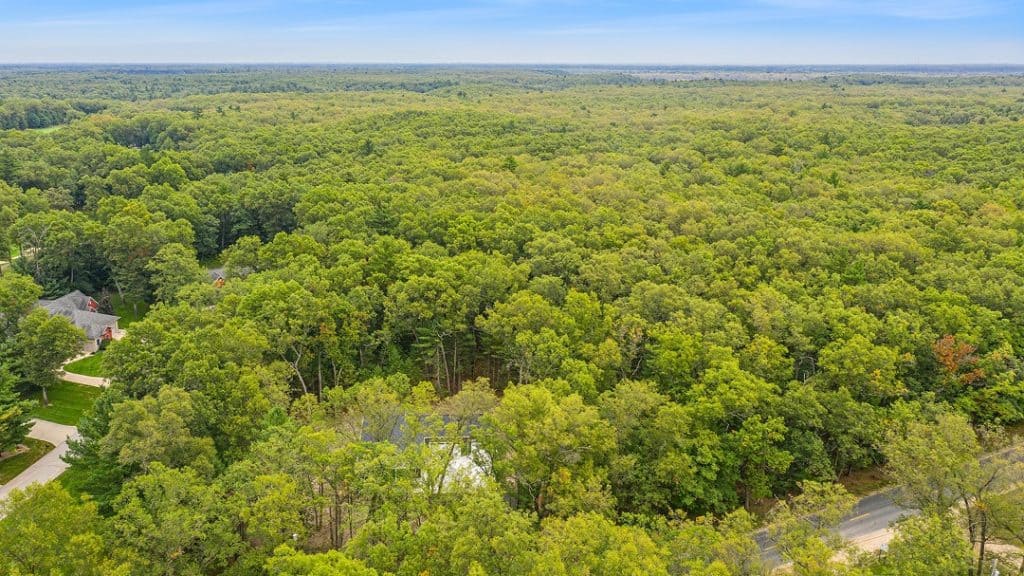 Aerial view of lush green forest with a few houses and roads.