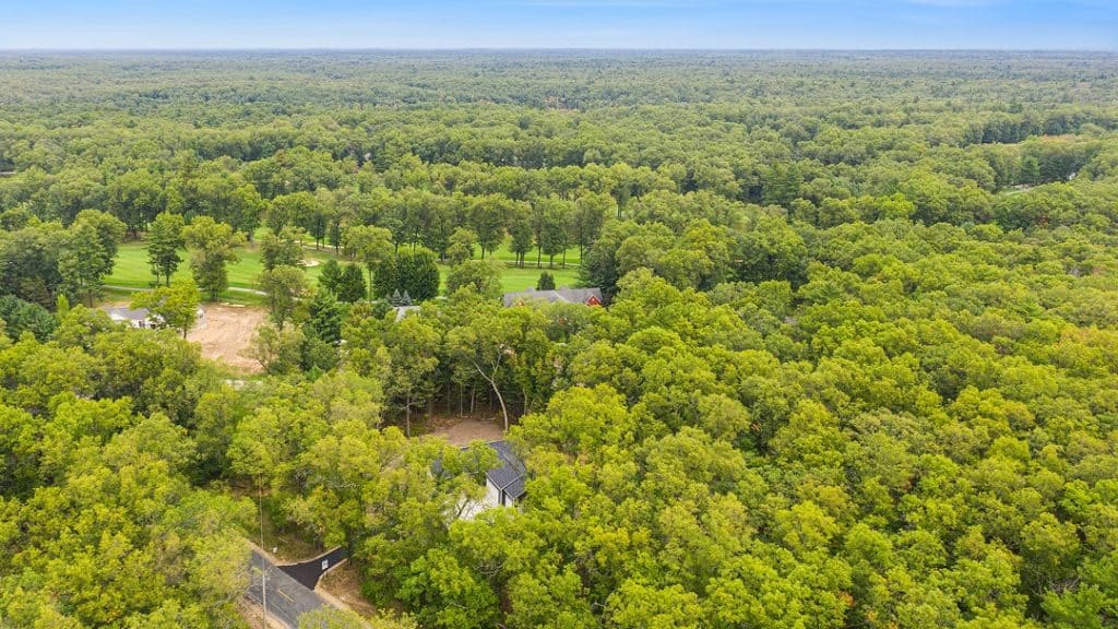 Aerial view of lush green forest with scattered houses and clear sky.