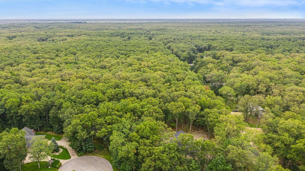 Aerial view of lush green forest with scattered homes and roads.