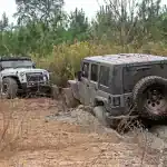 Off-road Jeeps at Camp & Cruise for Adventure Sports and Outdoor Excursions.