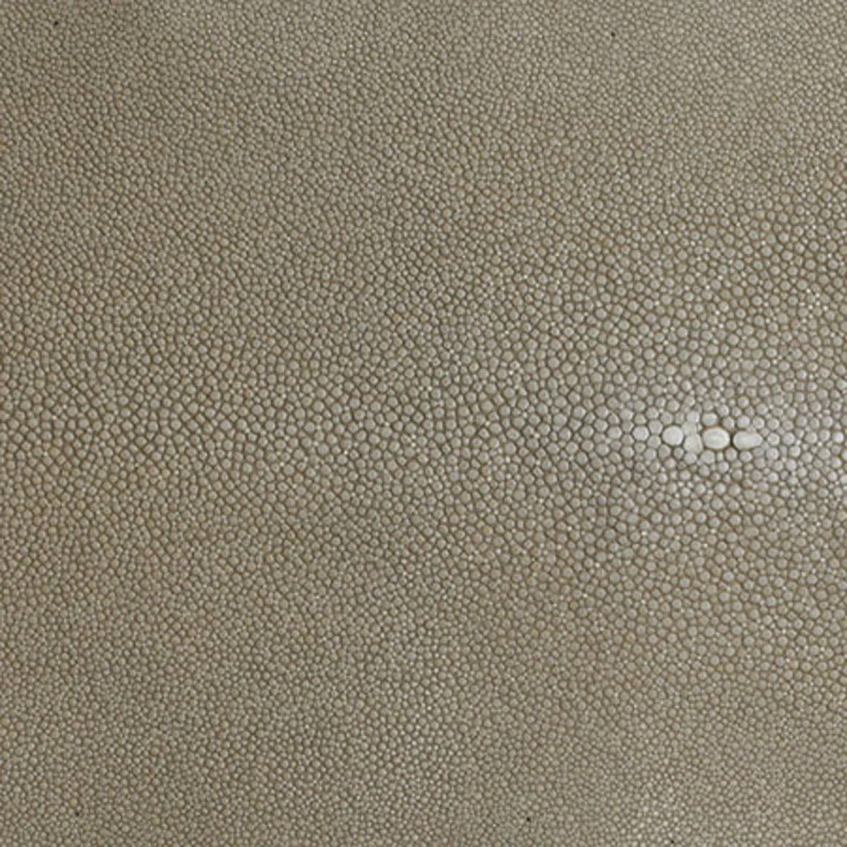 Taupe Shagreen Serving Set