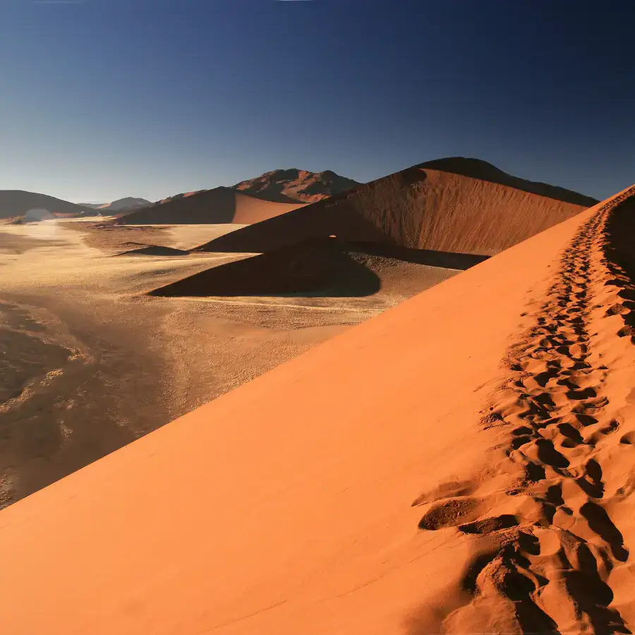 Namibia self drive: guida completa tra dune e safari