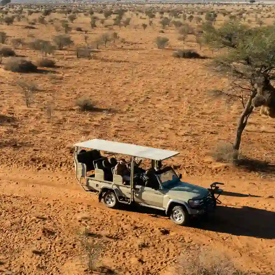 Namibia self drive: guida completa tra dune e safari
