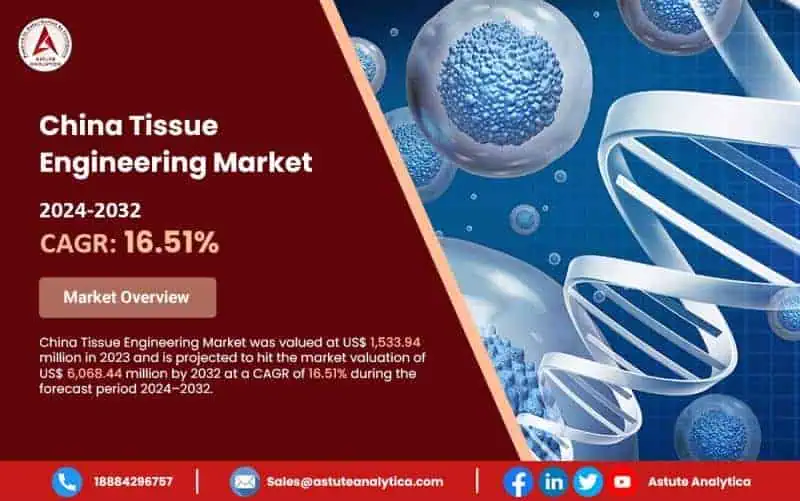 China Tissue Engineering Market Poised for Explosive Growth: Projected to Reach US$ 6,068.44 Million by 2032 | Astute Analytica