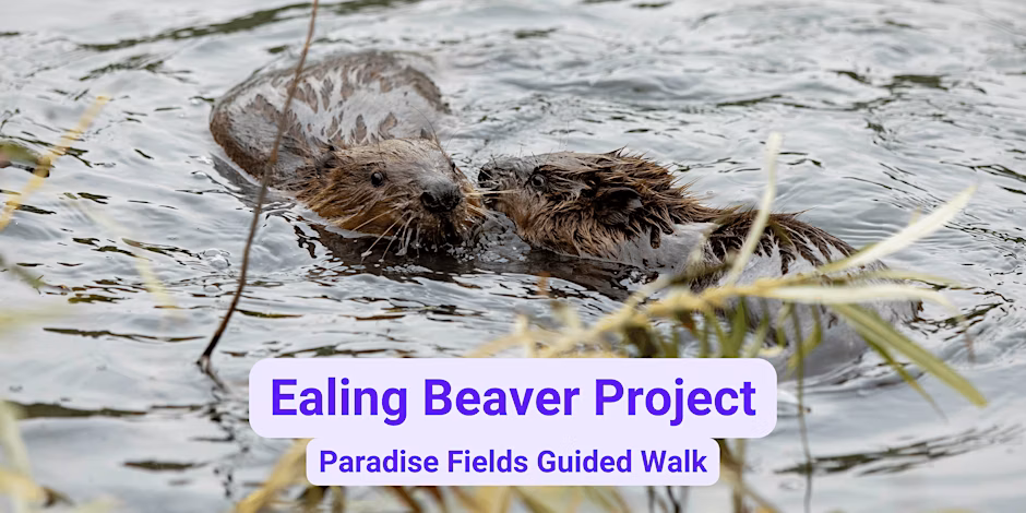 Ealing braver project guided walk