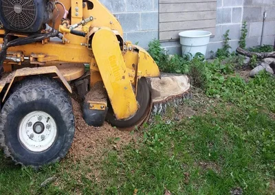 A stump during stump grinding in Alpharetta, GA