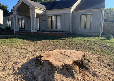 A stump before stump grinding in Alpharetta, GA