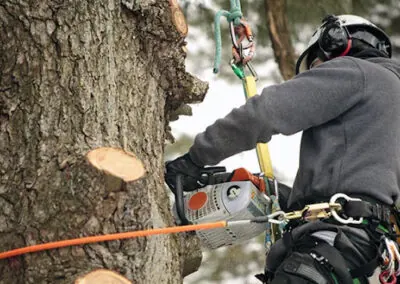 A team member completing a tree trimming in Alpharetta, GA