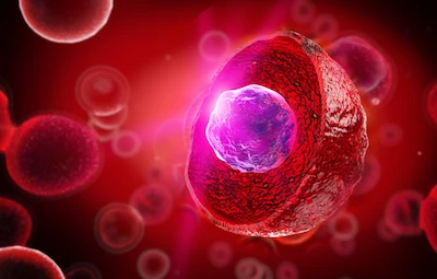 Dendritic cell vaccination in Germany