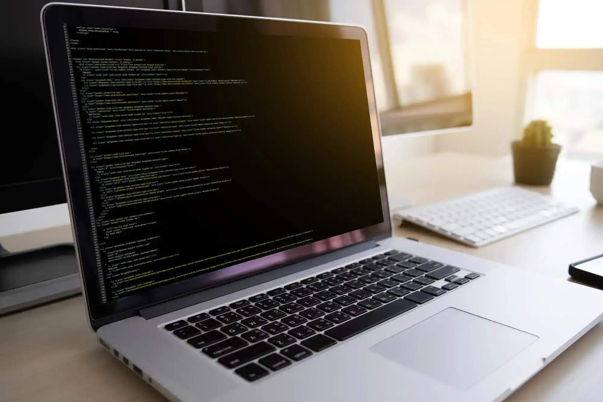 Programmer working Developing programming