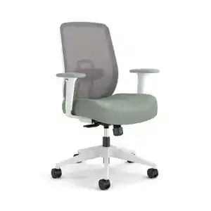 Modern ergonomic office chair with mesh back and adjustable armrests.