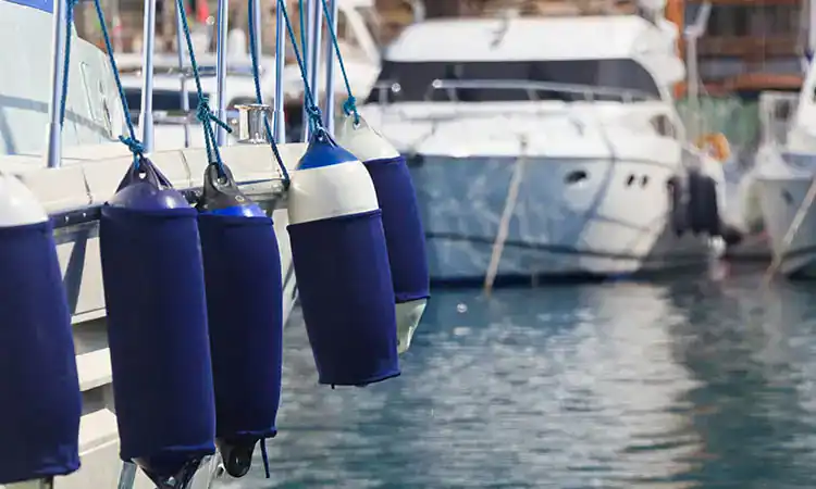Boats and yachts moored at a marina, showcasing watercraft at Hall's Sport Center marina.