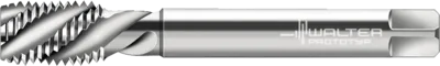 P205698-M12 Walter 100% Original HSS-E machine taps uncoated  1pcs