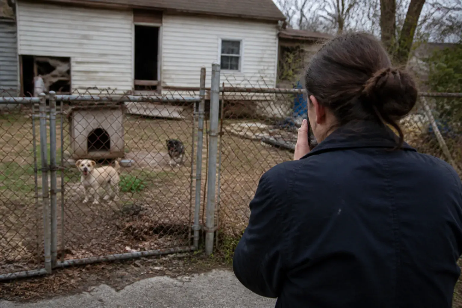 Citizen observing animal welfare conditions and recording physical evidence