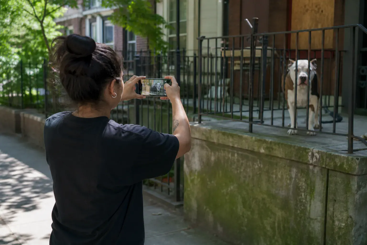 Animal control officer documenting evidence and physical neglect markers